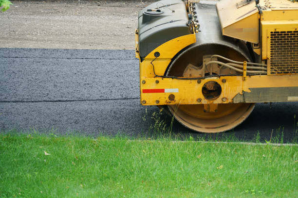 Best Custom Driveway Pavers  in Shoreacres, TX